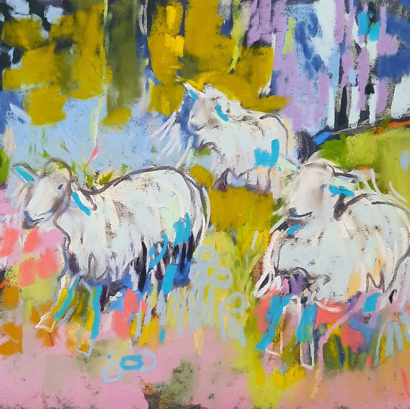 Moutons du Quercy pastel agnes martin genty